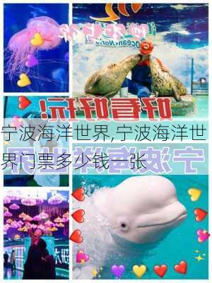 宁波海洋世界,宁波海洋世界门票多少钱一张