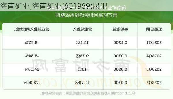 海南矿业,海南矿业(601969)股吧