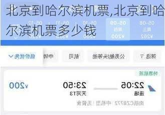 北京到哈尔滨机票,北京到哈尔滨机票多少钱