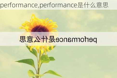 performance,performance是什么意思