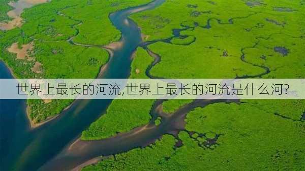 世界上最长的河流,世界上最长的河流是什么河?