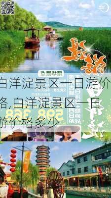 白洋淀景区一日游价格,白洋淀景区一日游价格多少