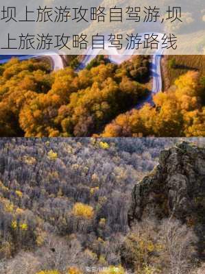 坝上旅游攻略自驾游,坝上旅游攻略自驾游路线