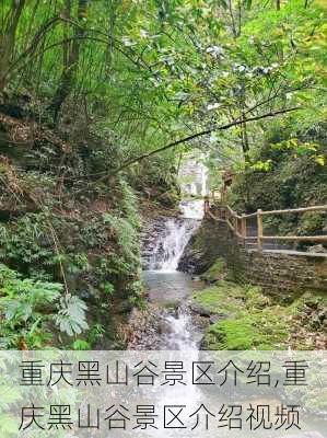 重庆黑山谷景区介绍,重庆黑山谷景区介绍视频