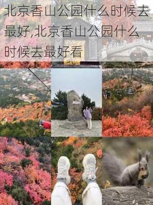 北京香山公园什么时候去最好,北京香山公园什么时候去最好看