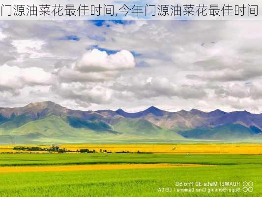 门源油菜花最佳时间,今年门源油菜花最佳时间