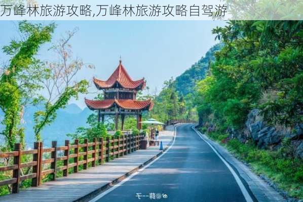 万峰林旅游攻略,万峰林旅游攻略自驾游