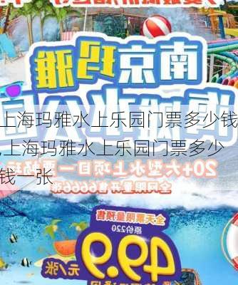 上海玛雅水上乐园门票多少钱,上海玛雅水上乐园门票多少钱一张