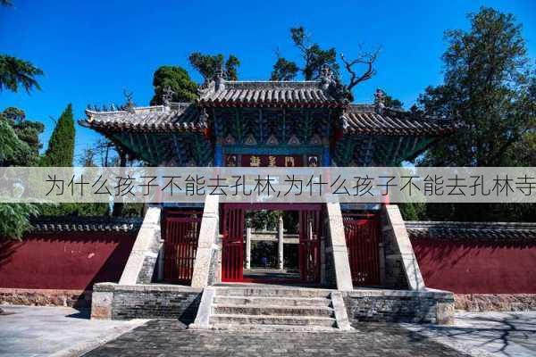 为什么孩子不能去孔林,为什么孩子不能去孔林寺