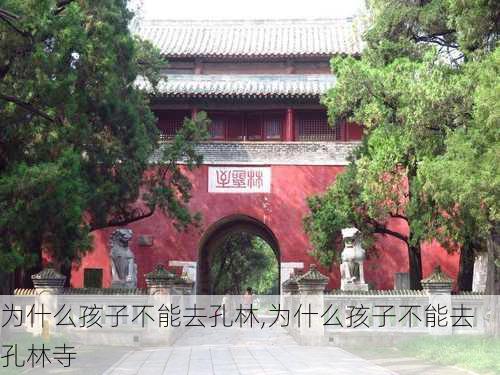 为什么孩子不能去孔林,为什么孩子不能去孔林寺