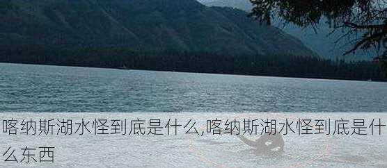 喀纳斯湖水怪到底是什么,喀纳斯湖水怪到底是什么东西