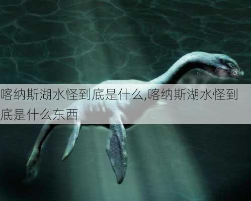 喀纳斯湖水怪到底是什么,喀纳斯湖水怪到底是什么东西