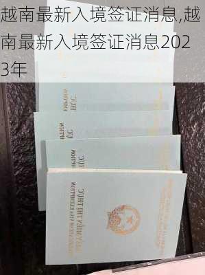 越南最新入境签证消息,越南最新入境签证消息2023年