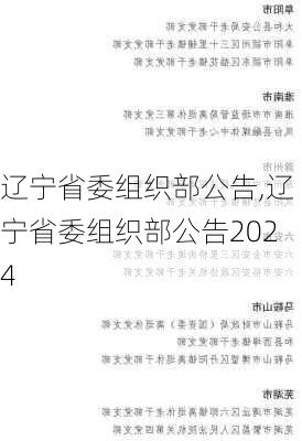 辽宁省委组织部公告,辽宁省委组织部公告2024