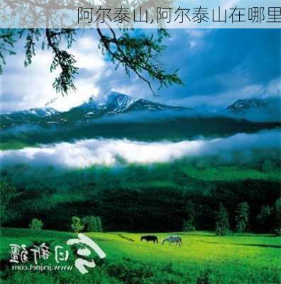 阿尔泰山,阿尔泰山在哪里