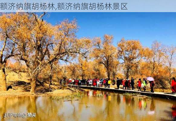 额济纳旗胡杨林,额济纳旗胡杨林景区