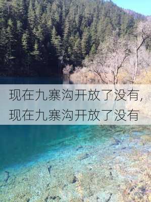 现在九寨沟开放了没有,现在九寨沟开放了没有