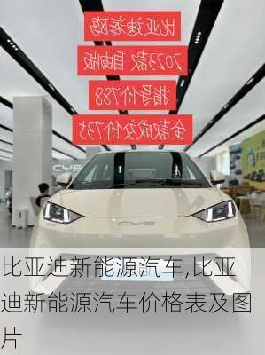 比亚迪新能源汽车,比亚迪新能源汽车价格表及图片