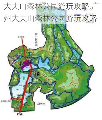 大夫山森林公园游玩攻略,广州大夫山森林公园游玩攻略