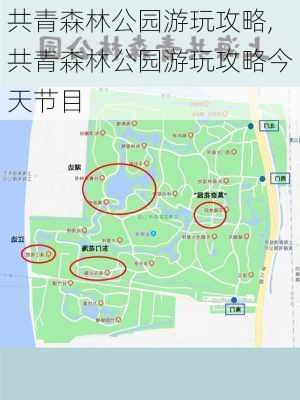 共青森林公园游玩攻略,共青森林公园游玩攻略今天节目