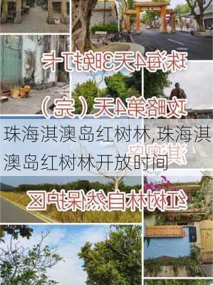 珠海淇澳岛红树林,珠海淇澳岛红树林开放时间