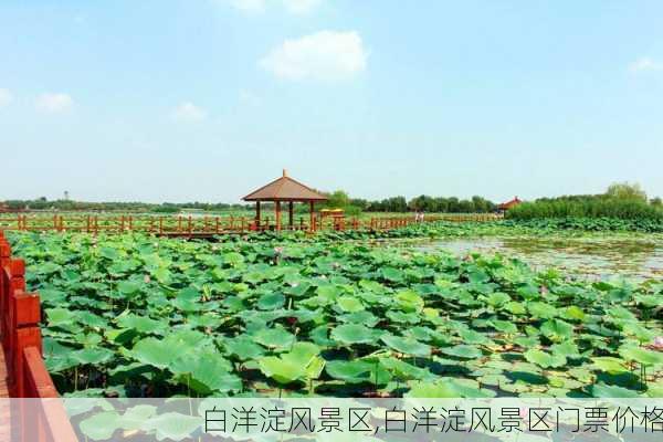 白洋淀风景区,白洋淀风景区门票价格