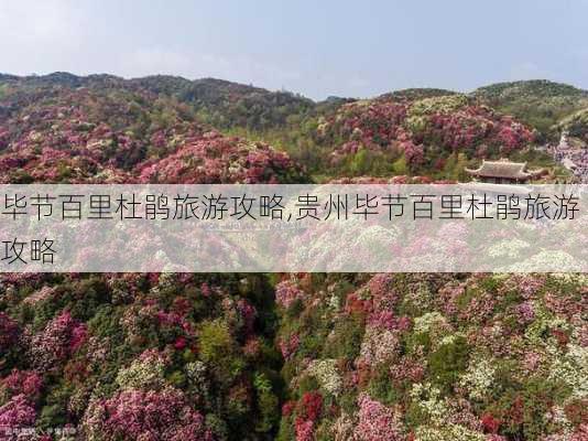 毕节百里杜鹃旅游攻略,贵州毕节百里杜鹃旅游攻略