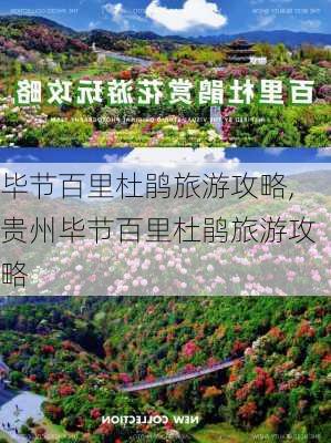 毕节百里杜鹃旅游攻略,贵州毕节百里杜鹃旅游攻略