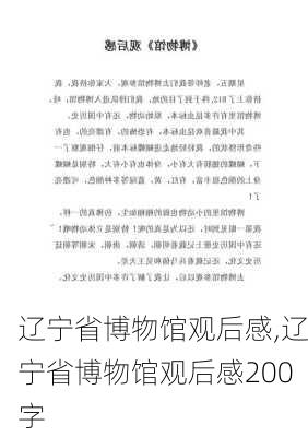 辽宁省博物馆观后感,辽宁省博物馆观后感200字