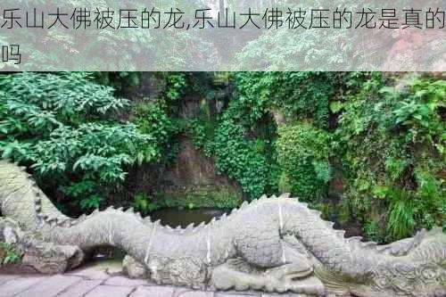 乐山大佛被压的龙,乐山大佛被压的龙是真的吗