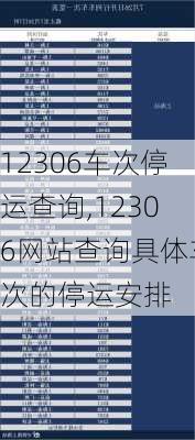 12306车次停运查询,12306网站查询具体车次的停运安排