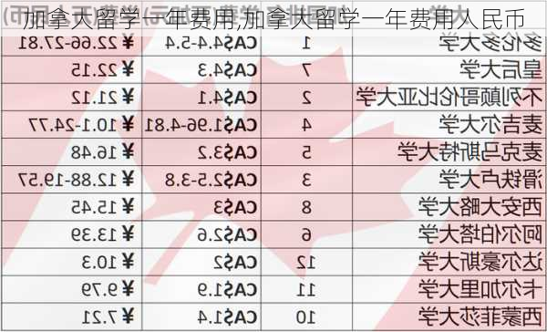 加拿大留学一年费用,加拿大留学一年费用人民币