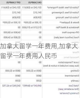 加拿大留学一年费用,加拿大留学一年费用人民币