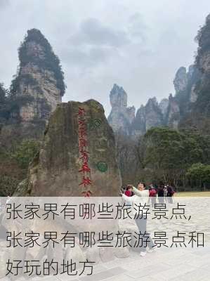 张家界有哪些旅游景点,张家界有哪些旅游景点和好玩的地方