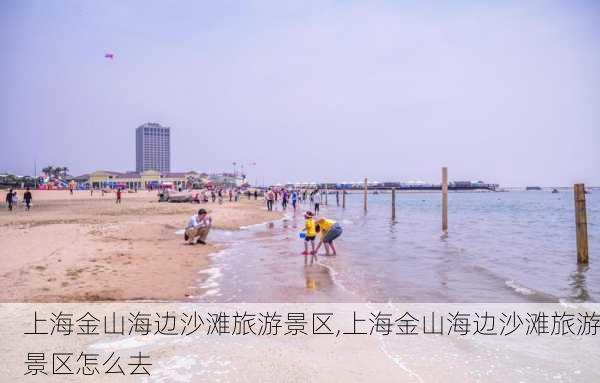 上海金山海边沙滩旅游景区,上海金山海边沙滩旅游景区怎么去