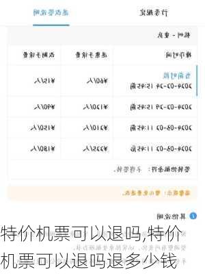 特价机票可以退吗,特价机票可以退吗退多少钱