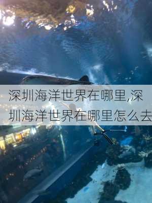 深圳海洋世界在哪里,深圳海洋世界在哪里怎么去