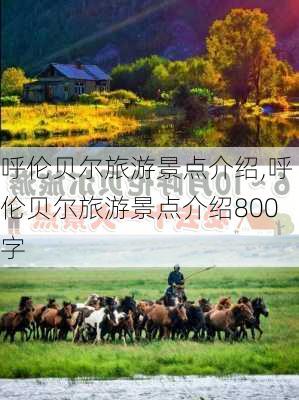 呼伦贝尔旅游景点介绍,呼伦贝尔旅游景点介绍800字