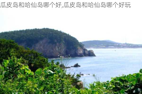 瓜皮岛和哈仙岛哪个好,瓜皮岛和哈仙岛哪个好玩