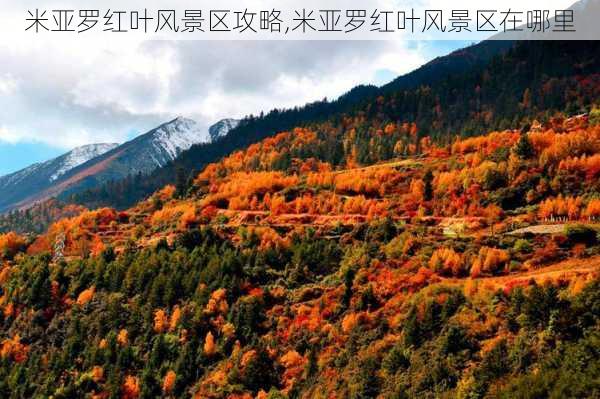 米亚罗红叶风景区攻略,米亚罗红叶风景区在哪里