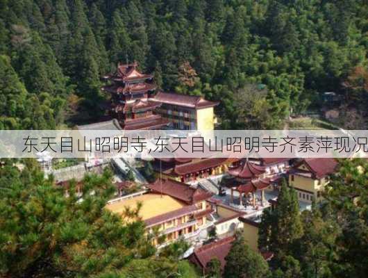 东天目山昭明寺,东天目山昭明寺齐素萍现况