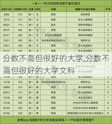 分数不高但很好的大学,分数不高但很好的大学文科