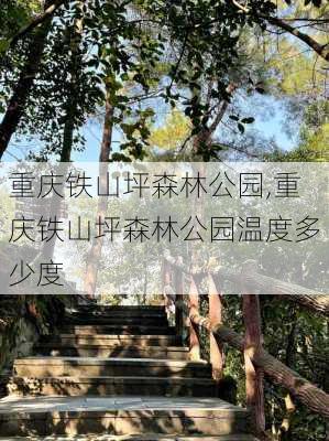 重庆铁山坪森林公园,重庆铁山坪森林公园温度多少度