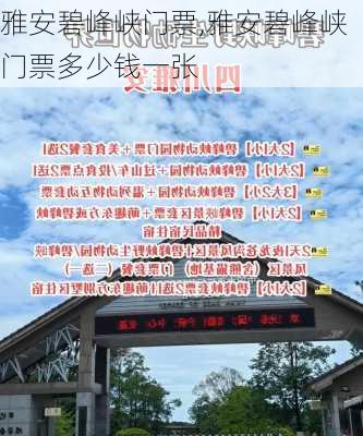 雅安碧峰峡门票,雅安碧峰峡门票多少钱一张