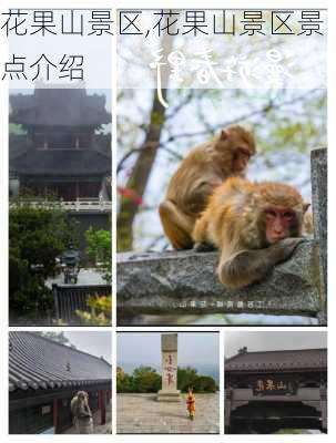 花果山景区,花果山景区景点介绍