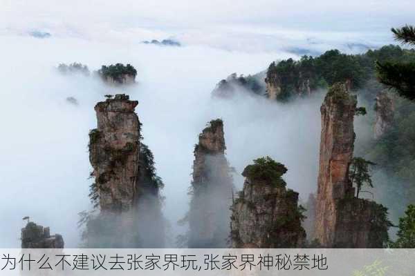 为什么不建议去张家界玩,张家界神秘禁地