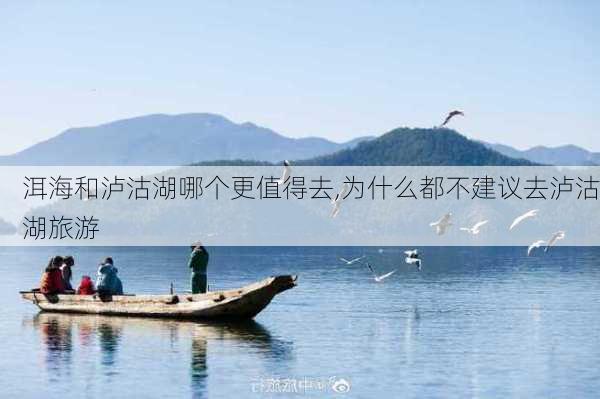 洱海和泸沽湖哪个更值得去,为什么都不建议去泸沽湖旅游