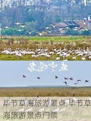 毕节草海旅游景点,毕节草海旅游景点门票