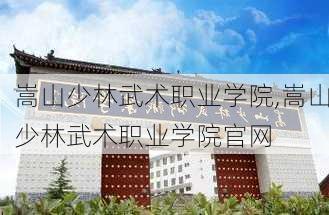 嵩山少林武术职业学院,嵩山少林武术职业学院官网