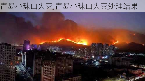 青岛小珠山火灾,青岛小珠山火灾处理结果